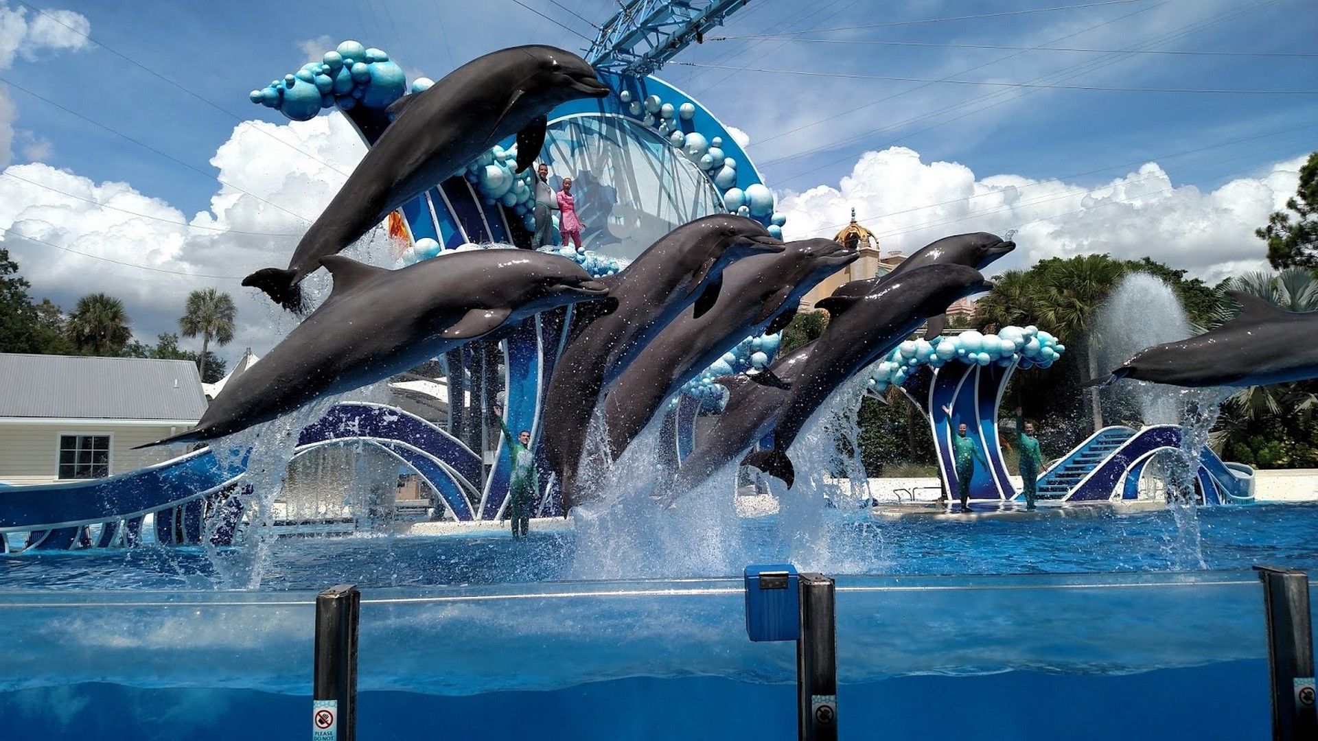 SeaWorld Image 01