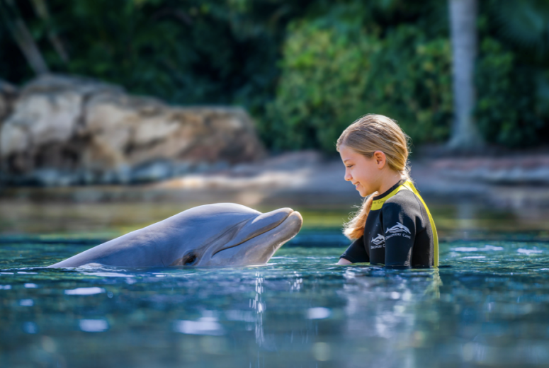 Discovery Cove Image 01