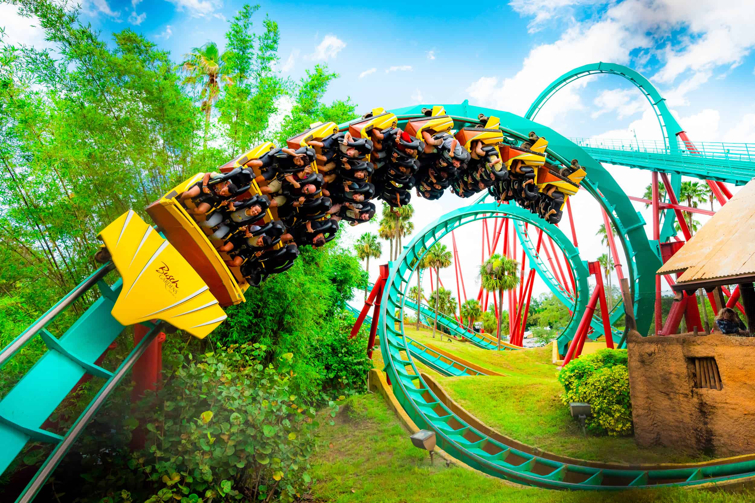 Busch Gardens Foto 3